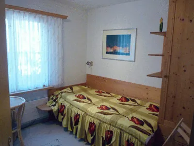 Efeu – Foto 6